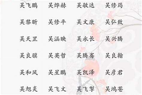 吳取名|姓吳名字大全，姓吳男孩名字，男孩名字大全，男寶寶取名字大全